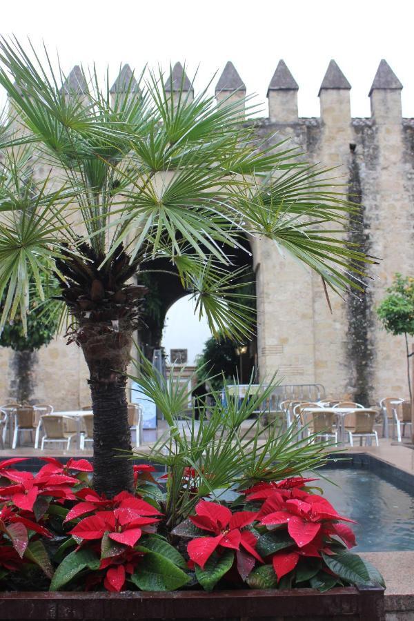 Loft Turistico En Casco Historico, Wifi Y Tv Satelite Gratis Leilighet Córdoba Eksteriør bilde
