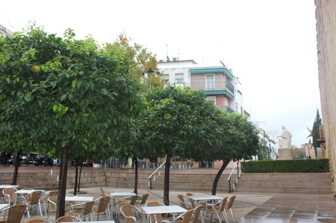 Loft Turistico En Casco Historico, Wifi Y Tv Satelite Gratis Leilighet Córdoba Eksteriør bilde